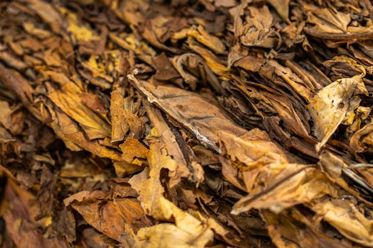 Vytvořte si vlastní aromatizovaný tabák přírodními ingrediencemi!